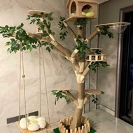 Best-Selling Cat Climbing Frame Cat House Integrated Cat Toy Cat Scratching Board House Cat Climbing