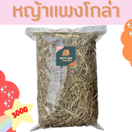 ถูกที่สุด!! 300g หญ้าแพงโกล่าแห้ง แพงโกล่าบอล สำหรับสัตว์ฟันแทะ เช่น กระต่าย แฮมสเตอร์ แกสบี้ แพรี่ด
