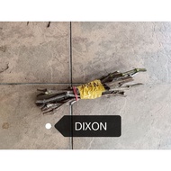 Satu set 5 keratan batang anggur jenis Dixon.