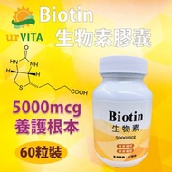 【生物素】 5000mcg Biotin 60粒裝 維生素B7 維生素Ｈ 養顏美容 現貨