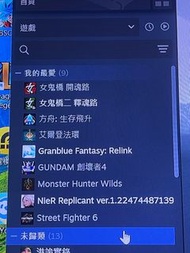 Steam帳號有多款遊戲