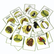 23 Arabic Languages/English Animals Animals Cognitive Flash Cards Preschool Words Early Childhood Ed