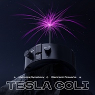 Music Tesla Coil Music Box Artificial Lightning Touchable Audio Input 60W Music Tesla Coil DIY Elect