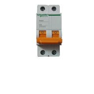 Schneider Electric EA9AN2C6 Circuit Breaker 2P C6A