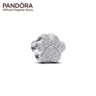 Pandora Textured Paw Mini Charm