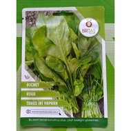 Rocket (Daun Arugula) seed by BIRTAS (Turki)