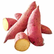 UBI MADU KUNING CAMERON HIGHLANDS YELLOW HONEY SWEET POTATO