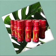 Ginsin Energy Drink 1 ctn 24 Pcs Instant Energy Drink Ginsin instant Energy Ginsin Instant Energy dr