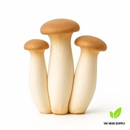 King Oyster Mushroom (1 packet)