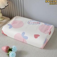 ID3L乳膠枕套30X50一對裝40x60單只兒童成人枕頭套枕芯內
