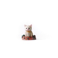 (現貨) 盆栽裝飾 地底鑽出的小動物-冷靜臉貓貓 微景觀擺飾