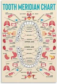 Miojopp Wall Art Dental Meridian Tooth Chart Poster Canvas Wall Art Decor (08x12inch/20x30cm) Unfram