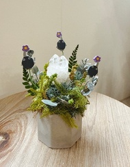 Pikmin 皮克敏 石頭皮 一起來打水晶菇吧。永生葉材微景觀小植栽