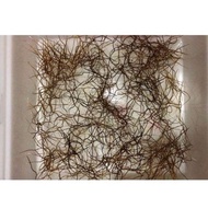 100% ORIGINAL ASLI SEMULAJADI ALAMI AKAR/BULU/PERINDU/ (readystock)