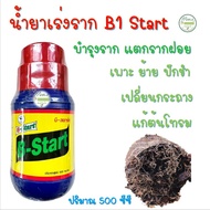 น้ำยาเร่งราก B-1 Start ปุ๋ยน้ำ วิตามินบี 1 ตรา ที - เร็กซ์ (T-REX) ขนาด 500 ซีซี บีวัน สำหรับ แช่เมล