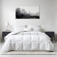 HIghland Feather - 加拿大超輕柔羽絨四季被 天絲有機棉被被殼 - 單人