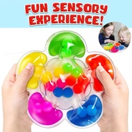 5 Styles Color Sorting Sensory Toys Fine Motor Skills Game For Toddlers Color Matching Toys Preschoo