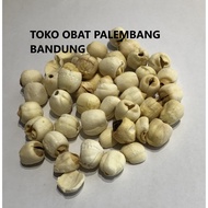 LOTUS SEEDS 10 GRAMS LIEN CE LIEN CI LOTUS SEED LIANZHI LIENCI LIEN CI LIAN ZHI