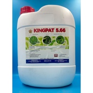 Kingpat 20 Liter Glufosinate-Ammonium 5.66% (Same As Buick 5.66 Rainpat 566 Tepat) Racun Rumpai Rump