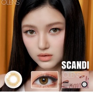 OLENS Scandi Hazel Month – 1 Color  | Monthly Scandi Hazel Colored Contact Lenses  K-Beauty 2p 1box