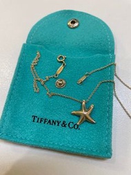 真品二手Tiffany小海星純銀項鍊