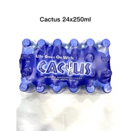 (Carton) Cactus Mineral Water 24x250ml