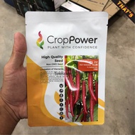 Benih Cili Besar CL22 Hibrid F1 CROP POWER (10gm)