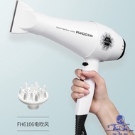 [ Nk ] Flyco FH6106 2200W hair dryer
