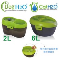 DOG&amp;CAT H2O有氧濾水機 電動飲水器(綠)2L/6L【另售濾棉/潔牙錠】
