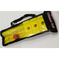 PREMIUM PLASTIC CRICKET KWIK SET / Plastic Cricket Bat + Ball Set