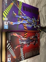 賣日版 METAL BUILD EVA-01 & EVA-02