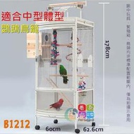 (可分期)歐式櫃體式鸚鵡籠 鳥籠鐵籠大型站架 寵物展示籠 灰鸚鵡葵花金屬低碳鋼材鳥籠B12 B14 B15