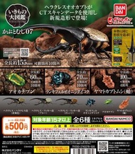 「訂購」 BANDAI - 生物大圖鑑之大甲蟲7 (全套6款)