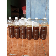 madu klanceng tewel kelulut trigona obat herbal madu terbaik madu fress hasil ternak sendiri kami me