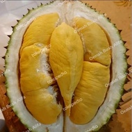 Durian Musang King Utuh/Durian Sultan Malaysia Asli Gratis Ongkir