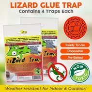 Lizard Glue Trap | Trusted Brand For Lizard Trapping |Lizard Repellent Alternative|