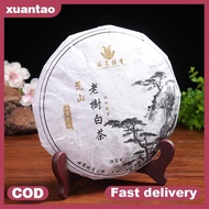 Xuantao Portable Easels Plate Holders Display Stand Stander Picture Frame Photo Tools Display Dish R