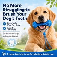 Pet Dog Toys Clean Teeth Pet Toys Puppy Cats Chew Toys For Dogs Resistant To Bite Bone