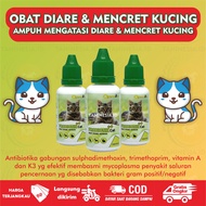 Obat diare mencret kucing paling ampuh mengobati diare pada kitten atau anak kucing hingga kucing de