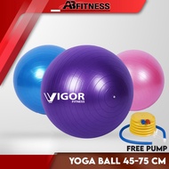 Gym Ball Anti Burst Yoga Ball  45cm / 55cm / 65cm / 75cm