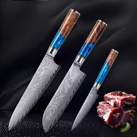 Damascus Steel High Carbon 67 Layer VG10 Chef's Knife Blue Resin Wood Handle Kitchen Chef's Knife Th