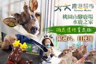 【夠麻吉X農遊超市】桃園山腳鹿場水鹿之家 擁鹿懷裡賞鹿趣