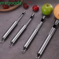 MXGOODS Core Remover 4 Sizes 4Pcs/Set Hawthorn Jujube Tools Stainless Steel Kitchen Gadgets