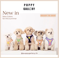 Puppy Gallery - Plus Alpha soft harness ฮาเนส เสื้อรัดอกสุนัข สไตล์เกาหลี สายรัดอกสุนัขสีทูโทน น่ารัก step in harness