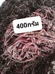 ไส้เดือน AF บรรจุ 400 กรัม