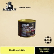 Antong Kopi Luwak Wild