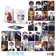 Box of 55 photo cards Taming the tiger lomo card hologram Korea Comics BL Manhwa BoyLove