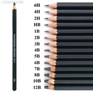 LOOKSHOW 14pcs/set Professional Sketch Drawing Pencil Set HB 2B 6H 4H 2H 3B 4B 5B 6B 10B 12B 1B Pain