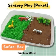 Sensory Play Package Sensory Play Box Package Sensory Play Package/ Baby Educational Toy/