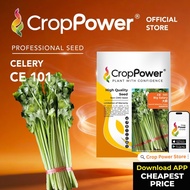(50 GRAM) Biji Benih Daun Sup Saderi Big Salary 大薪 CE101 CROP POWER Celery seeds  芹菜种子  CE 101